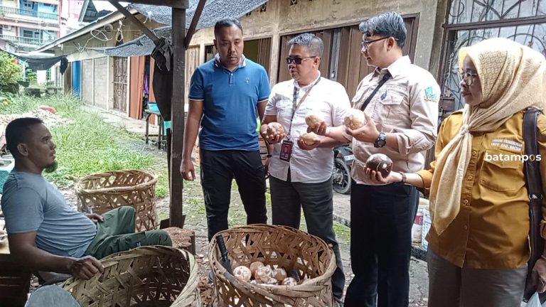 Satgas Pangan Pantau Stok Kelapa di Kijang, Bintan, Langka karena Pasokan Kelapa dari Riau Berkurang