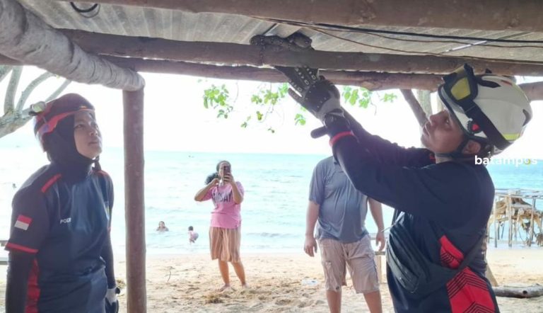 Lagi Santai di Pantai Sekera, Bintan, Pengunjung Dikejutkan Kemunculan Ular
