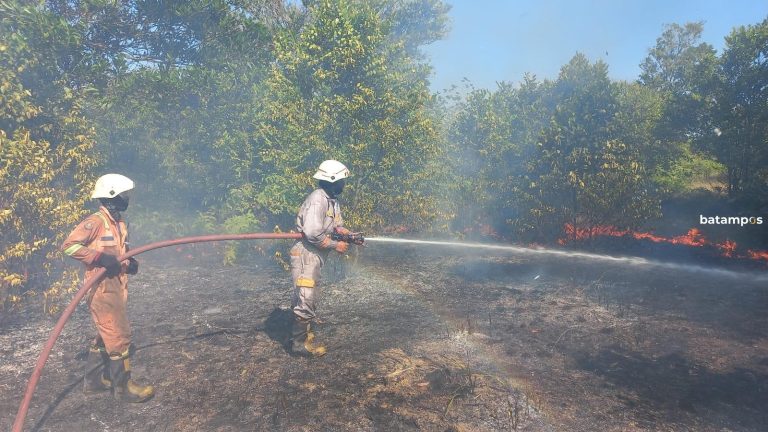 Lahan PT. SBP Terbakar, Asap Ganggu Jarak Pandang Pengguna Jalan Raya Busung di Bintan