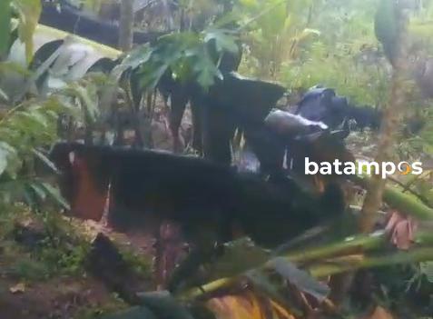 Kebun Pisang Dirusak OTK, Petani Air Bini Sedih Gagal Panen, Pisang 100 Kg Hilang