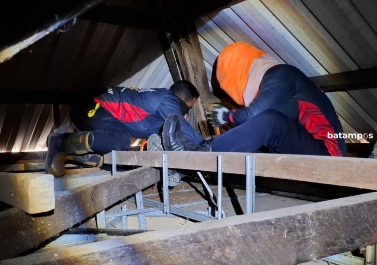 Masuk Plapon, Petugas Damkar Evakuasi Sarang Lebah di Tanjunguban