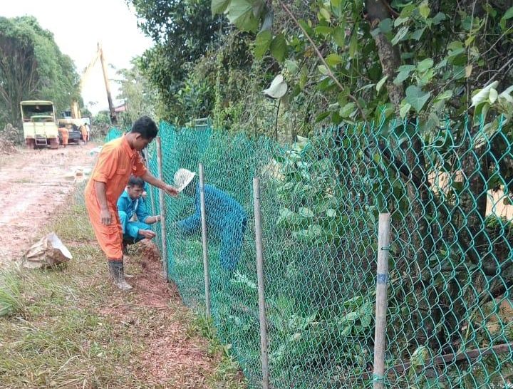 Belum Diketahui Pasti Jumlah Buaya yang Lepas, Tim Sudah Berhasil Tangkap Kembali 34 Ekor Buaya