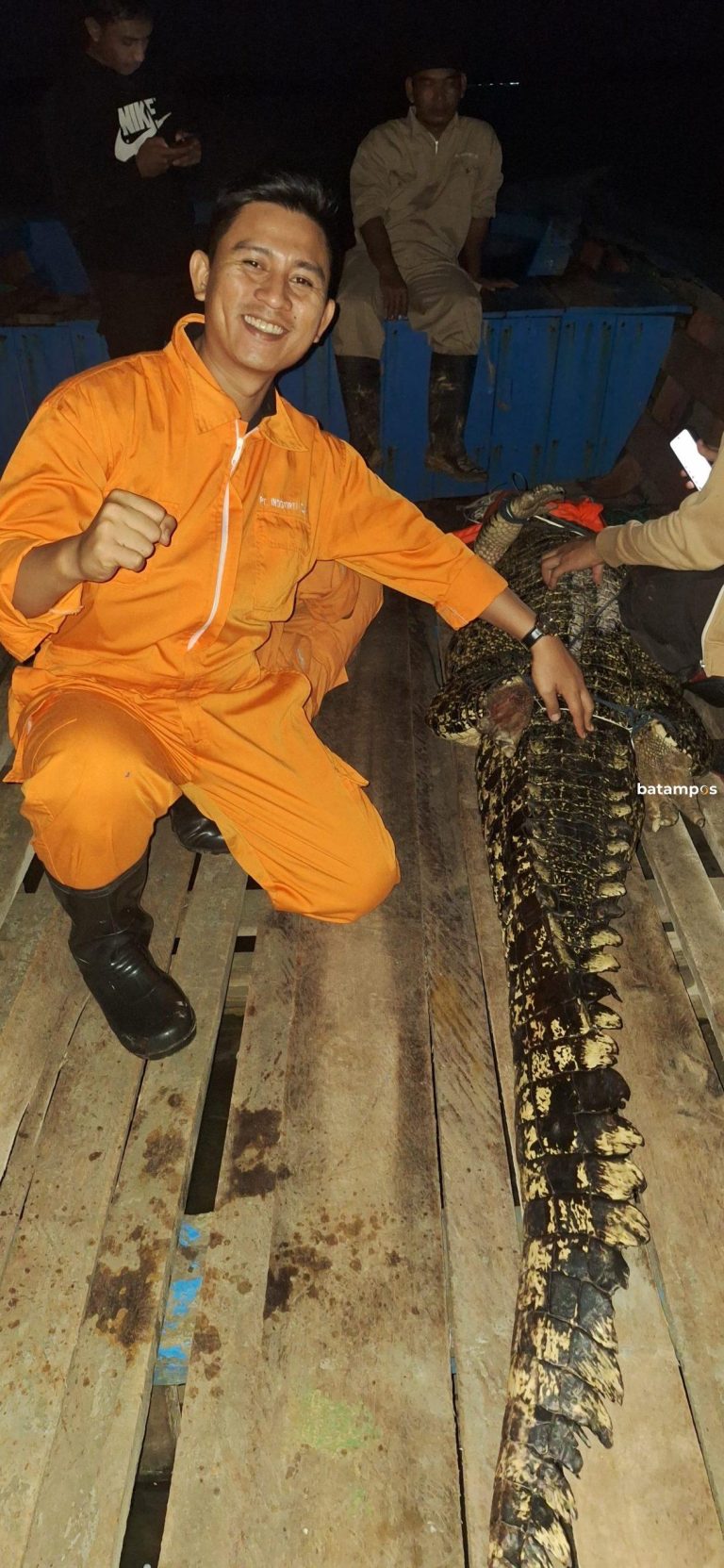 Tiga Buaya yang Sempat Kabur Berhasil Ditangkap