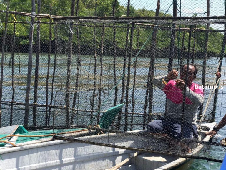 Nelayan Batam Terancam Tidak Bisa Melaut Akibat Ancaman Buaya, Minta Perusahaan Bertanggung Jawab