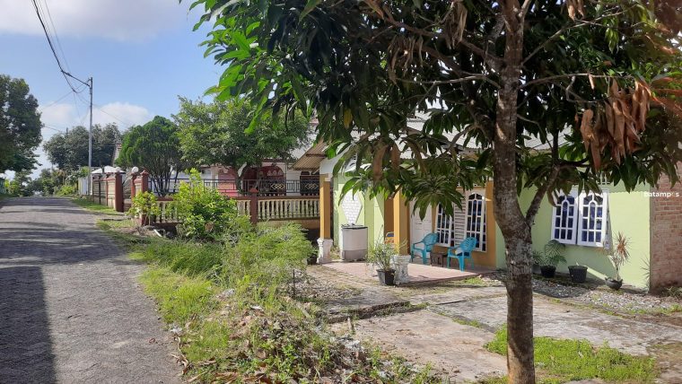 Ulat Bulu Serang Rumah Warga