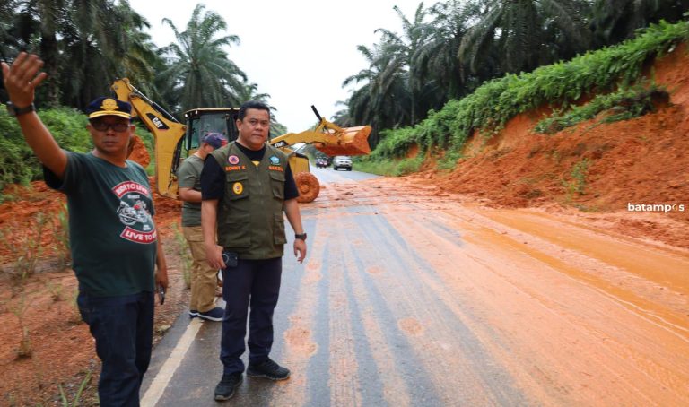 Hati-hati Melintas Jalan Lintas Timur, Bintan, Rawan Longsor dan Ada Pohon Tumbang