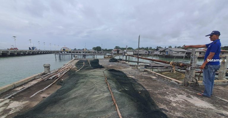 Pelabuhan Tambatan Nelayan Kampung Mentigi, Bintan Memprihatinkan, Bagian Kanannya Rawan Ambruk