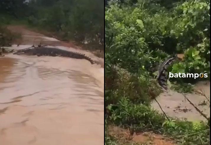 Atasi Ancaman Buaya, Dinas Perikanan Batam Bentuk Satgas Perlindungan Nelayan