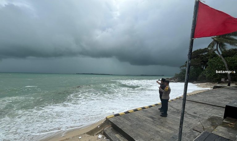 Buaya Muncul di Pesisir Pantai Resort di Bintan