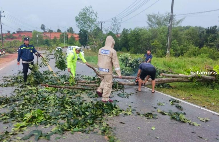 Polisi dan Warga Evakuasi Pohon Tumbang Halangi Akses Jalan Indunsuri di Bintan