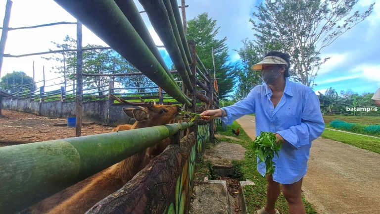Wisatawan Bisa Interaksi dengan Satwa Langka di Taman Safari Lagoi, Bintan