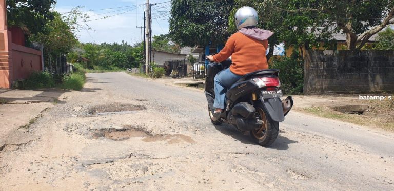 Warga Kesal Truk Muatan Berat Lalu Lalang di jalan Perumahan Alamanda, Bintan, Bikin Jalan Makin Rusak dan Tembok Rumah Retak-retak