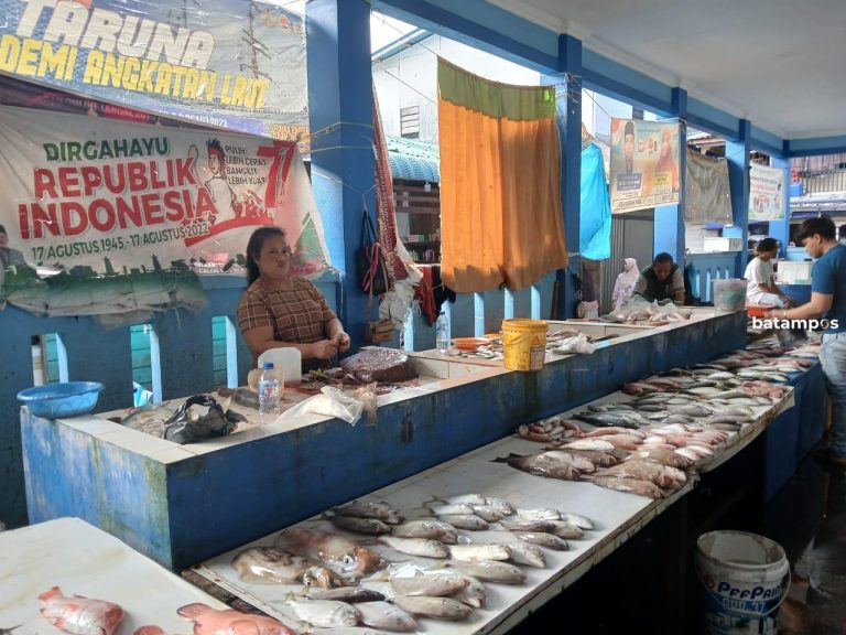 Stok Ikan di Anambas Melimpah, Daya Beli Masyarakat Kurang