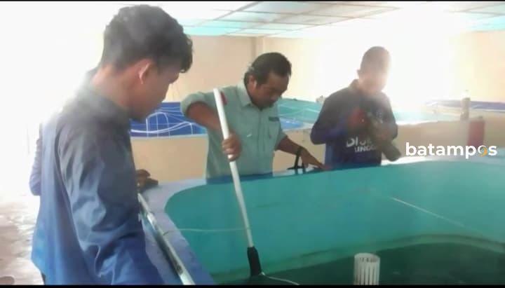 Ditengah Efesiensi Anggaran, DKP Lingga Penuhi Target Capaian Dua Bulan Lebih Awal Dari Yang Direncanakan