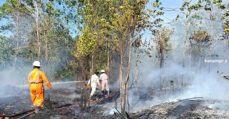 Sehari, Dua Kebakaran Lahan Terjadi di Bintan