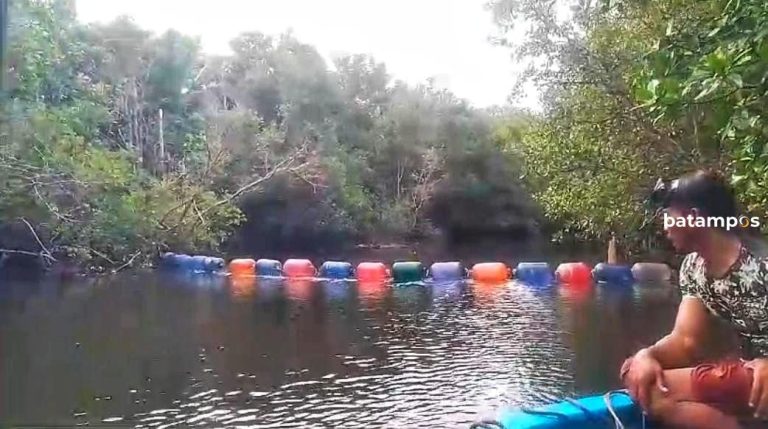 Pesisir Pengudang, Bintan, Dipenuhi Sampah Kiriman, Pelampung Barrier Dipasang Lindung Mangrove