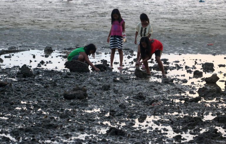 Tradisi Bekarang Berperan Menjaga Lingkungan dan Ekosistem Laut, Warisan Turun-temurun dan Kearifan Lokal di Tanjungpinang yang Tetap Lestari