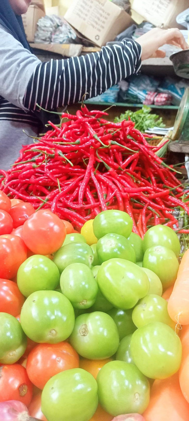 Jelang Ramadan Harga Cabai Merah dan Cabai Rawit Mengalami Penurunan
