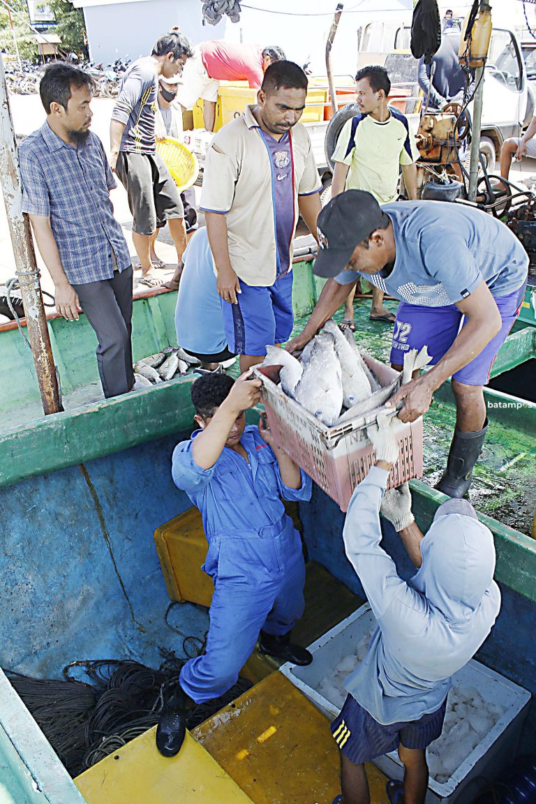 Ekspor Ikan Batam Capai 5.414 Ton, Singapura Jadi Pasar Utama