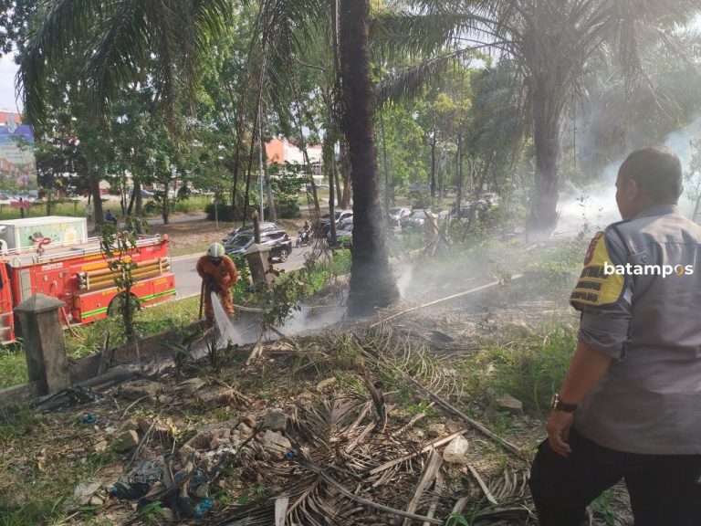 Kebakaran Lahan di Sekupang, Dipicu Pembakaran Ilalang