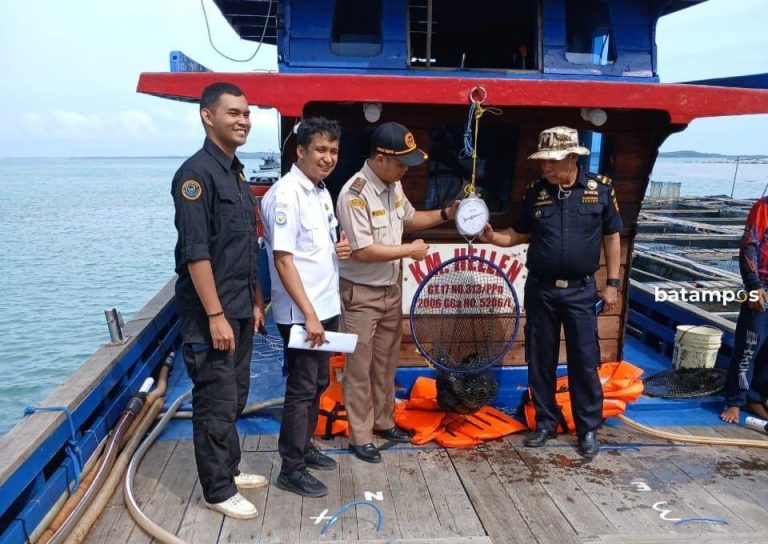 Karantina Kepri Fasilitasi Ekspor 1.600 Ekor Kerapu Hidup ke Singapura
