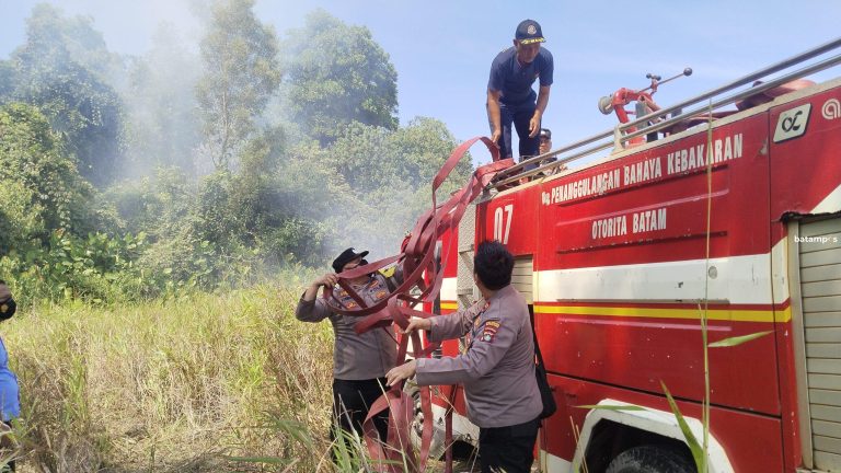 Lahan Terbakar di Bukit Cinta Sekupang, Angin Kencang Percepat Penyebaran Api