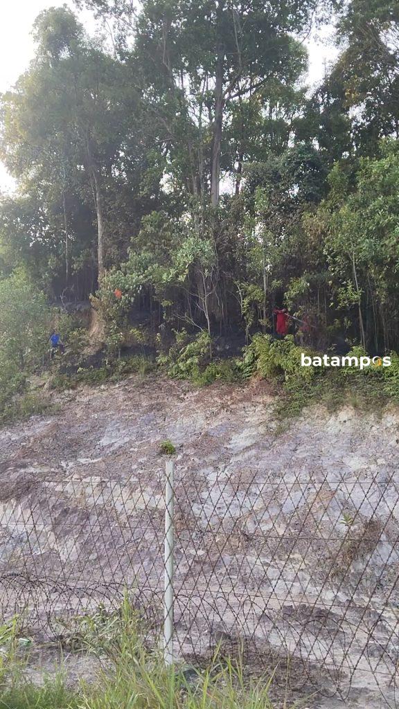 Dua Unit Damkar Dikerahkan, Kebakaran Hutan Lindung Batam Berhasil Dikendalikan