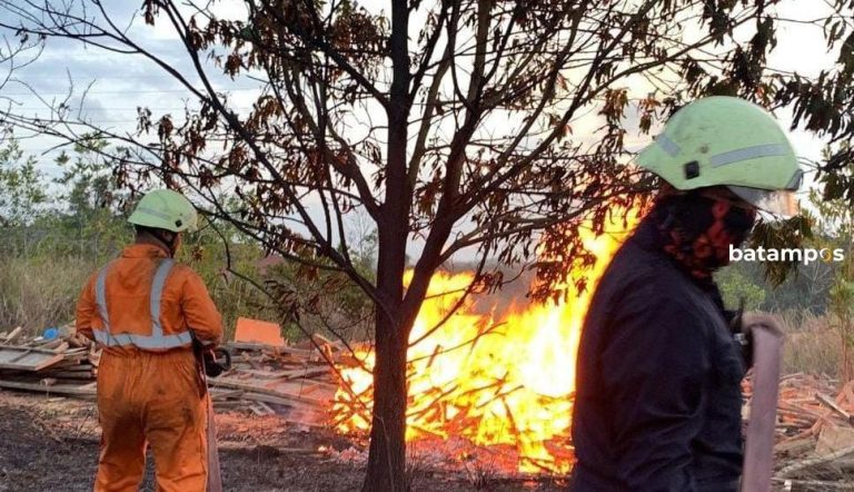 Semak Belukar dan Tumpukan Kayu Terbakar di Tanjunguban, Api Nyaris Membakar Kabel Listrik