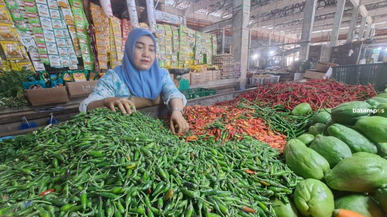 Harga Cabai di Bintan Masih Tinggi