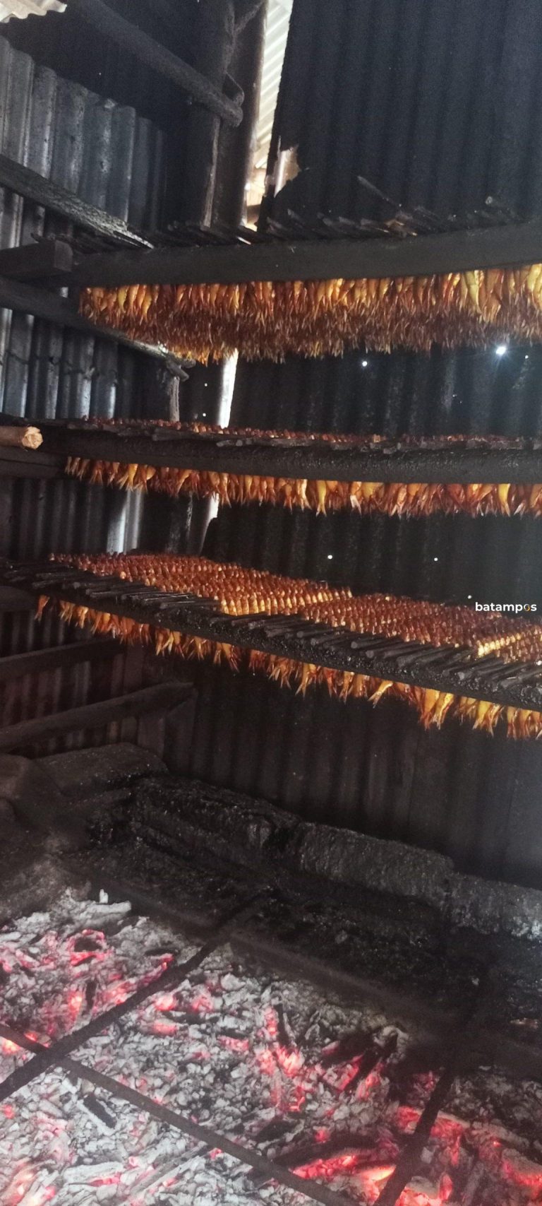 Dari Menjual Tamban Salai Hingga Bisa Membeli Tanah dan Membangun Rumah