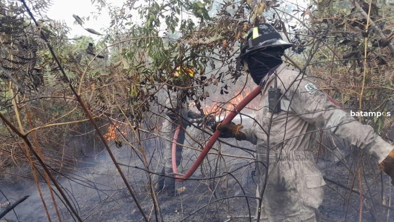 Tiga Kebakaran Lahan dalam Sehari di Bintan, Pemadam Bertungkus Lumus Memadamkan Api