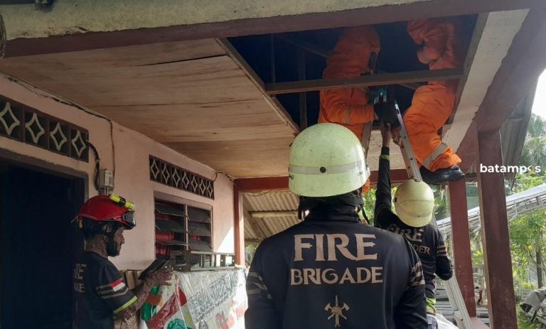 Terusik, Sarang Lebah Madu di Plapon Rumah Warga di Bintan Dievakuasi