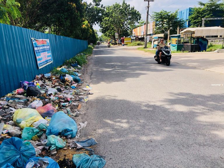 TPS Liar  Selalu Muncul, DLH Batam Akui Persoalan Rumit