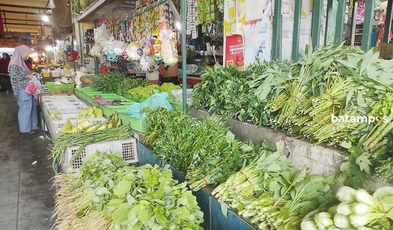 Gagal Panen Jadi Pemicu Harga Sayur Melambung