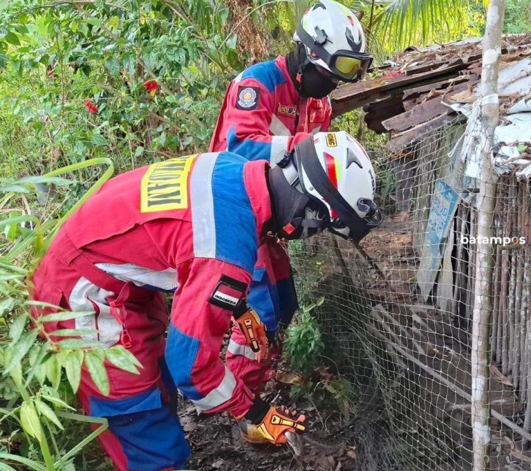 Damkar Selamatkan Ular Piton Terjebak Jaring setelah Mangsa Ayam di Tanjunguban