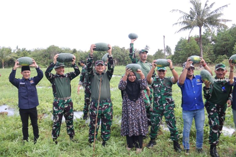 Kolaborasi TNI, PWI, dan Petani Panen Raya Semangka di Bintan