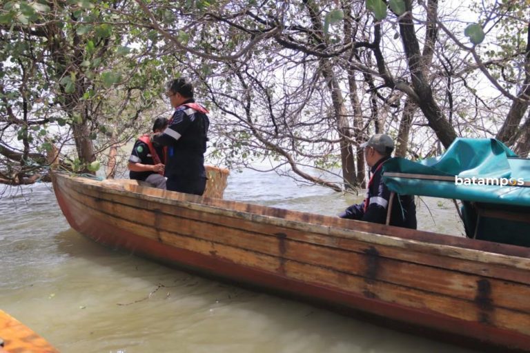 PT Timah Sebar Ribuan Bibit Kepiting Bakau