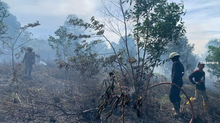 Kebakaran Lahan Semak Belukar di Tanjunguban, Diduga Akibat Dibakar