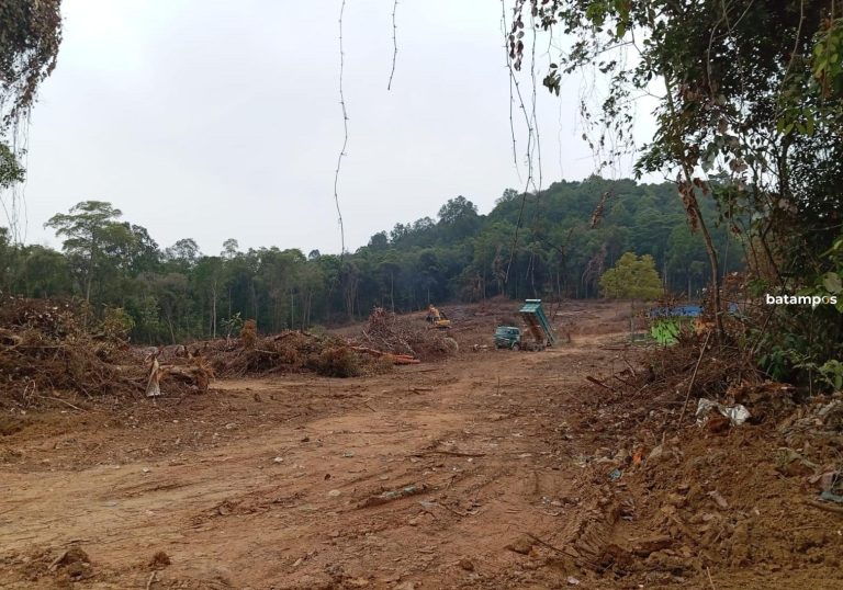Hutan Bukit Daeng Dibabat untuk Pematangan Lahan, Warga Cemas Ancaman Banjir