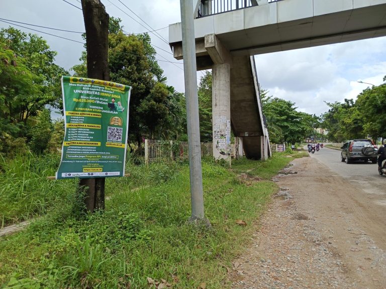 Baliho dan Iklan Liar Masih Marak di Batuaji dan Sagulung, Warga Minta Penertiban Karena Merusak Estetika