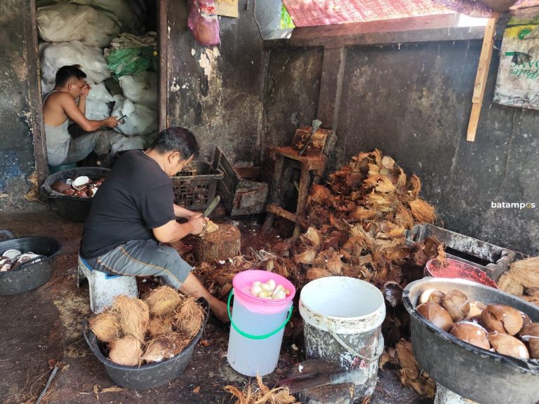 Harga Santan Tinggi Jelang Idul Fitri, Disperindag Tunggu Kebijakan Pembatasan Ekspor Kelapa Bulat