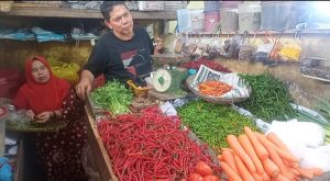 Harga Cabai di Pasar Sayur Dabo Singkep Kembali Normal