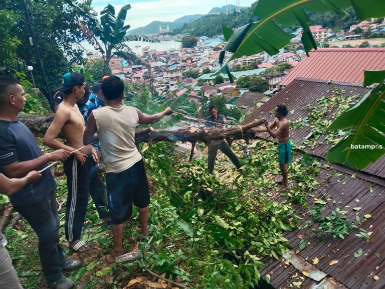 Akibat Tanah Terkikis, Rumah di Raden Saleh Tarempa Tertimpa Pohon Tumbang