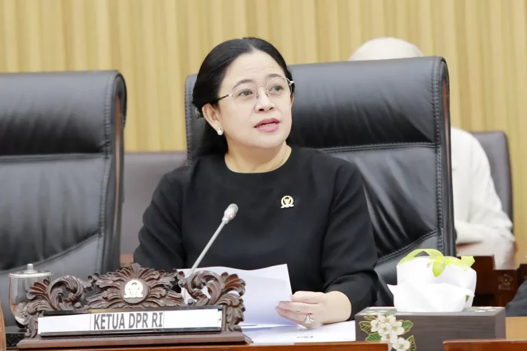 Sebanyak 1.967 CPNS Mengundurkan Diri, Puan Minta Ada Evaluasi