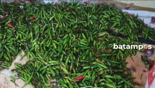 Pasokan Barang Dagangan dari Jambi dan Batam Tak Kunjung Masuk, Bahan Pokok Dapur Terancam Langka di Pasar Sayur Dabo