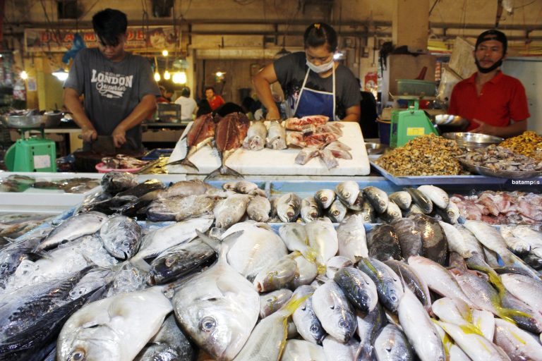 Permintaan Konsumsi Ikan di Batam Capai 15 hingga 20 Ton per Hari