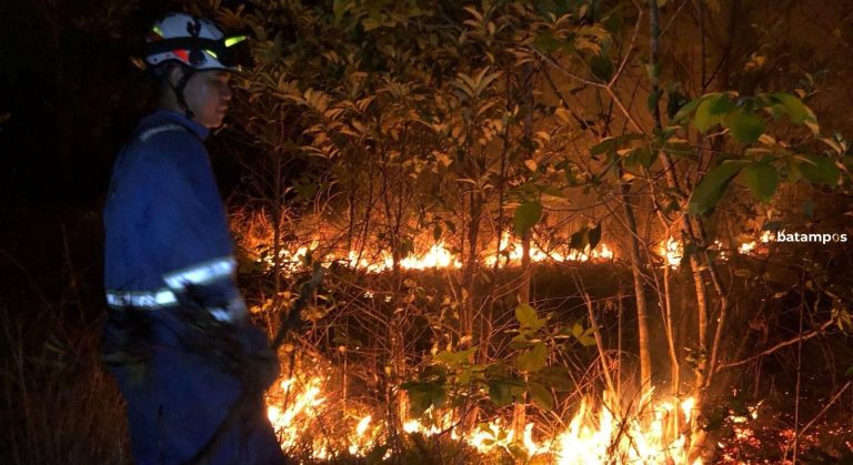 Lahan Semak Belukar di Bintan Terbakar, Petugas Pakai Metode Manual Padamkan Titik Api Terjauh