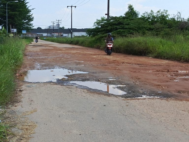 Pernah Ditanami Pisang, Akses Jalan Rusak Menuju Pemukiman di Tembesi Seken Belum Juga Diperbarui