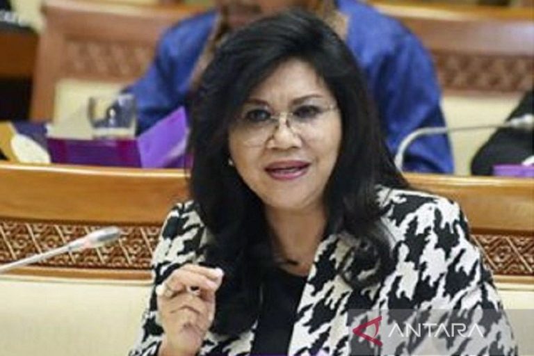 Ormas Bikin Resah, DPR Sebut Bisa Ganggu Iklim Industri dan Pariwisata