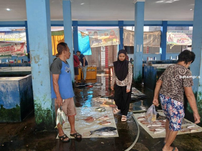 Nelayan Kembali Melaut, Pasokan Ikan Segar di Anambas Terpenuhi Pascalebaran